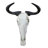 Real Wildebeest Antelope Skull