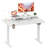 Kreutzer Height Adjustable Standing Gaming Desk-1670371019-1670134402