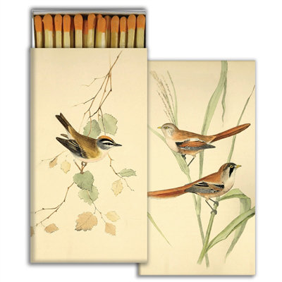 Allumettes - oiseaux anglais