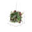 Mixed Assortment Arrangement