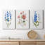 Petite Botanical I - Ensemble de 3 reproductions d'art sur toile tendue-1868167148