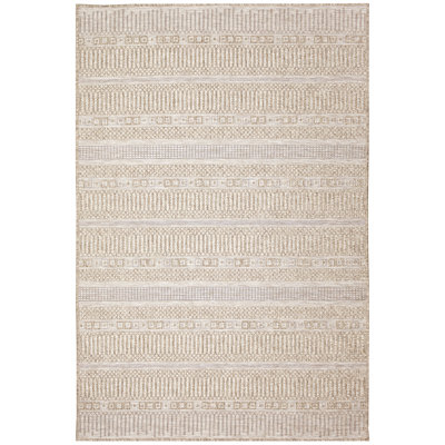Ajeya Indoor Rug