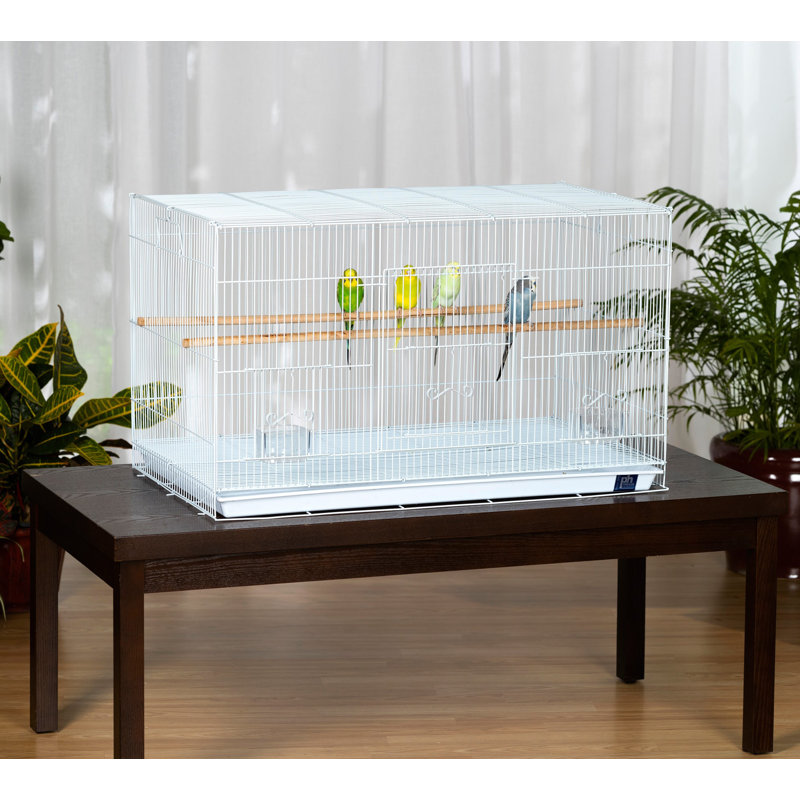 White Metal Flight Bird Cage with Wooden Perches