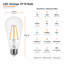 Ampoule DEL à filament Euri Lighting ST19, 7 W, 800 lm, équivalent 75 W, 2700 K, culot E26, dimmable, étanche, homologuée UL