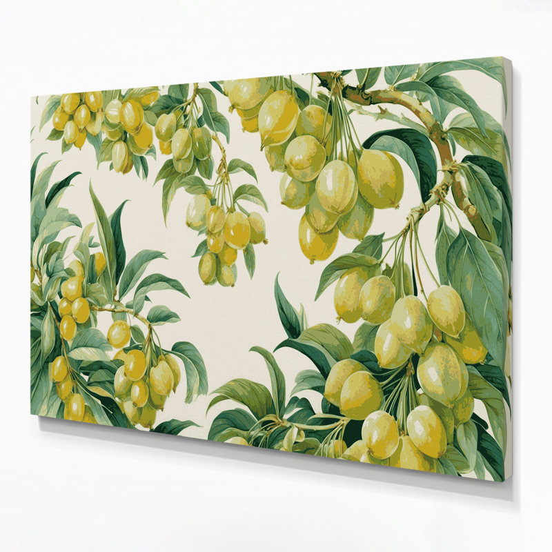 «Fruit Wampee», art mural sur toile vert, H 16 po x l 20 po