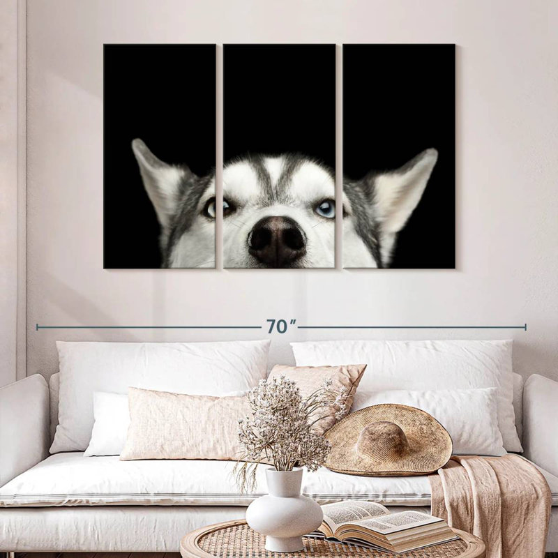 Husky sibérien Brampt, H 32 po x l 50 po