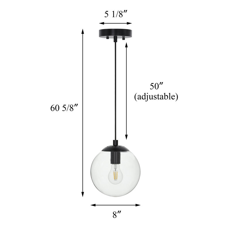 Matte Black Globe Pendant Light with Clear Glass Shade