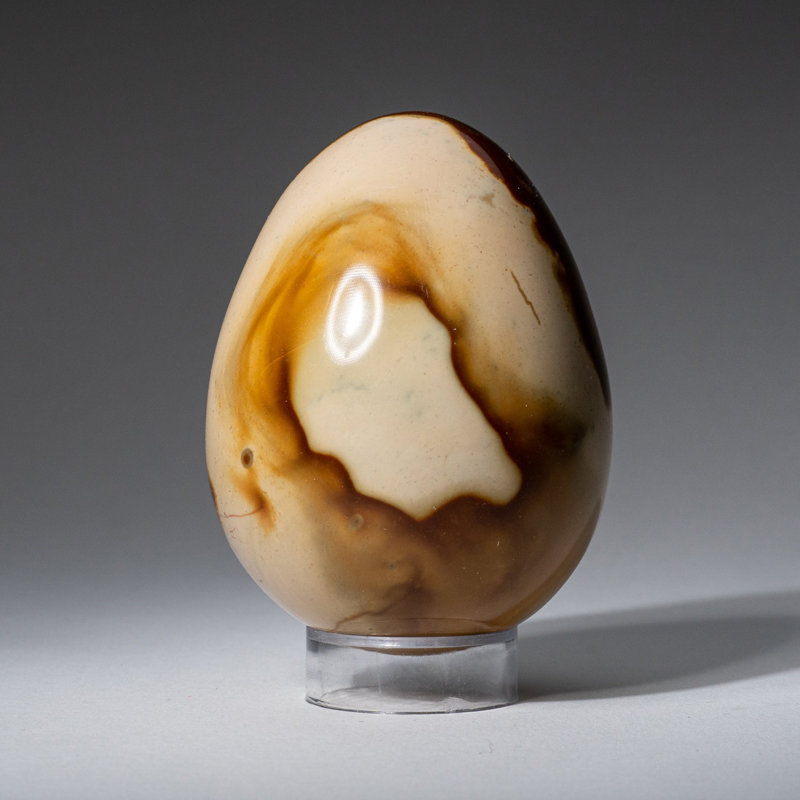 Véritable œuf polychrome poli de Madagascar (0,85 lb)