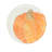 Pumpkins Assorted Salad Plates