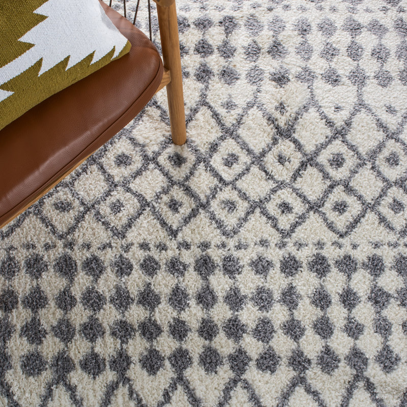 Tapis à poils longs Lia Performance Southwestern Lia, Tapis de couloir 2 pi 2 po x 10 pi