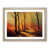 Oak Framed