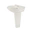 Pacifica 35" Pedestal Bathroom Sink with Overflow
