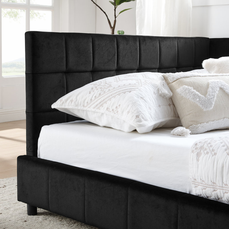 Lit de jour pour canapé double capitonné en velours - Structure en bois d'eucalyptus, aucun sommier requis, Noir