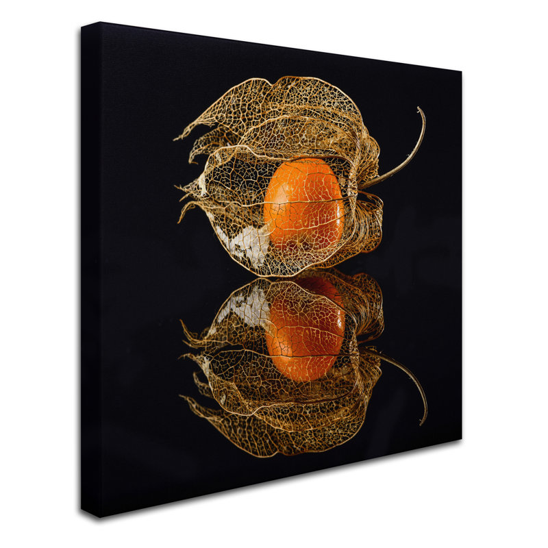 « physalis », reproduction de photo sur toile tendue, H 24 po x l 24 po