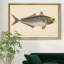 «Donovan Antique Fish III», impression sur toile encadrée-1214604016-1214604014