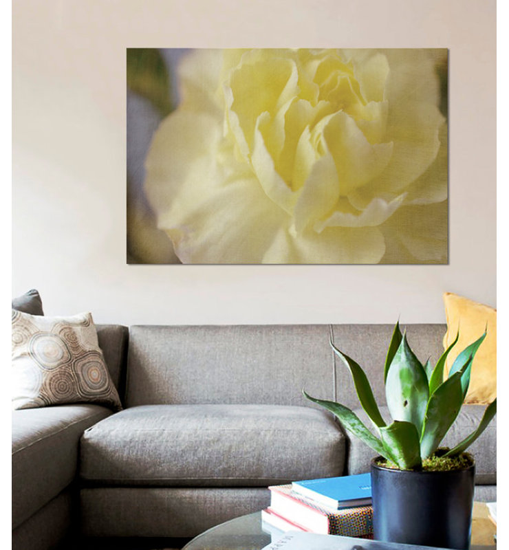 «Rose Whisper I», reproduction sur toile tendue, H 26 po x l 40 po x P 1,5 po, Toile tendue, Pas de tapis