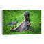 Hippo'S Mighty Yawn Contemporary Animal Nature Wall Art Print by Jeffrey C. Sink - 1 Piece Wrapped Canvas Wall Art-1071617908