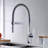Dowell Pull Down Kitchen Faucet
