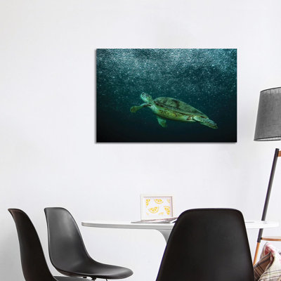 Rain by Serge Melesan - Wrapped Canvas Print