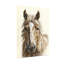 Portrait d'animaux avec une rayure blanche et une fourrure brune-307345742