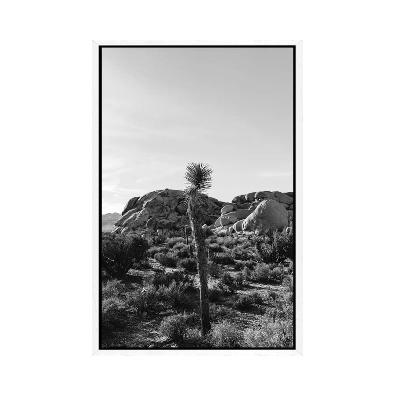 Joshua Tree National Park XVIII by Bethany Young - Print on Canvas, White Framed, 101.6cm H x 66.04cm W x 3.81cm D