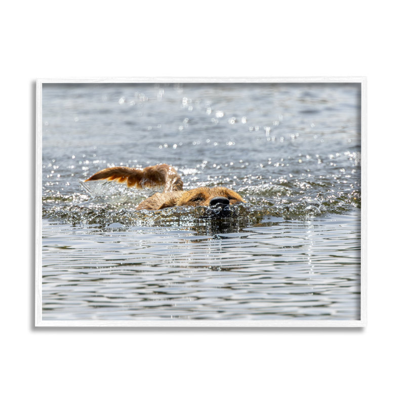 Ba-366 - Chien encadré nageant dans l'océan, H 11 po x l 14 po x P 1,5 po, Giclée encadrée blanc bord de mer