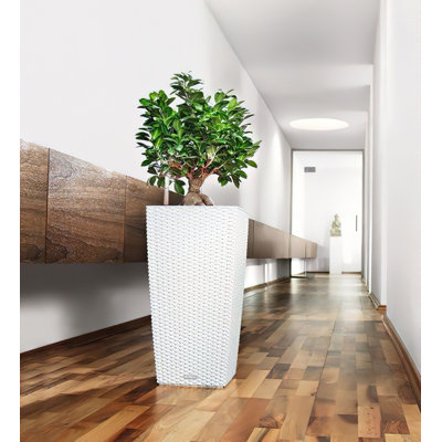 Cubico Pot Planter