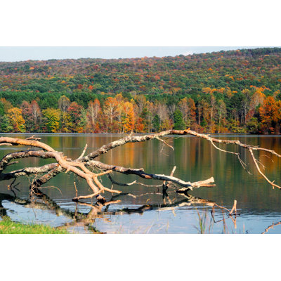 «Public Lake» par Petemuller