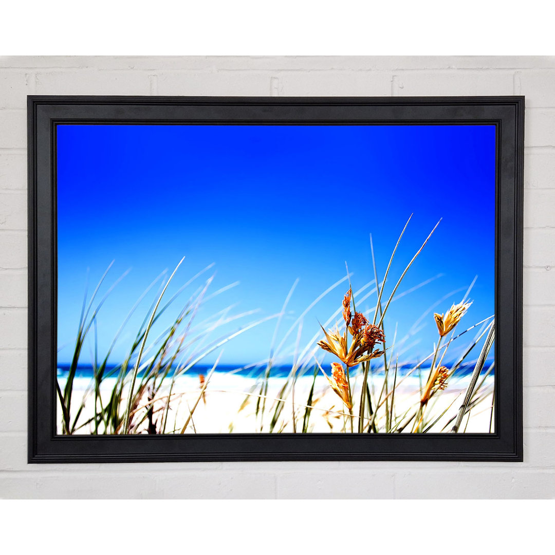 Gerahmtes Wandbild Clear Beach Sky