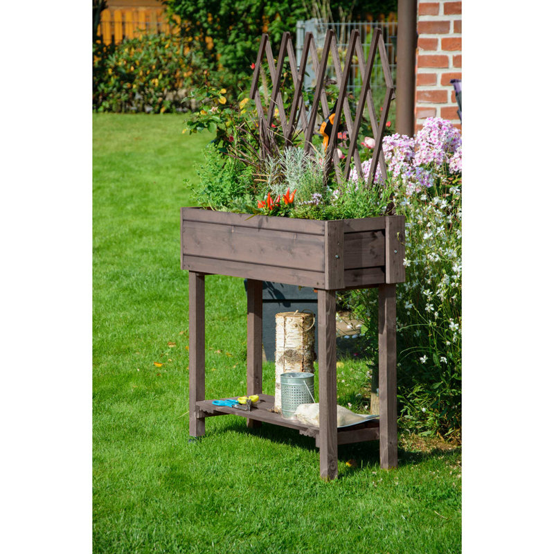 Elevated Planter with Trellis, Anthracite