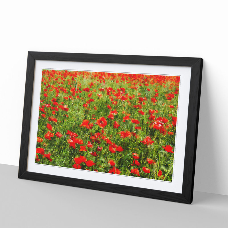 Field of Poppies Vol.2 - Framed Print, Black Framed, 48cm H x 65cm W x 2cm D