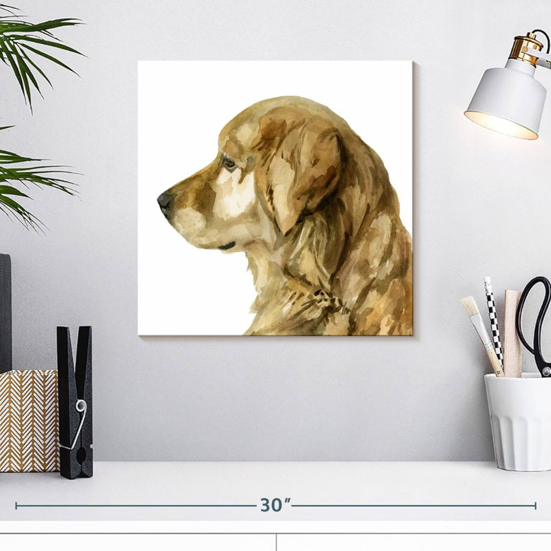 Brampt Pet Profile I, H 16 po x l 16 po