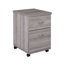 40cm Wide 2 -Drawer Mobile File Cabinet