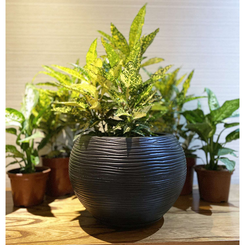 Black Polyethylene Resin Indoor/Outdoor Planter with Saucer