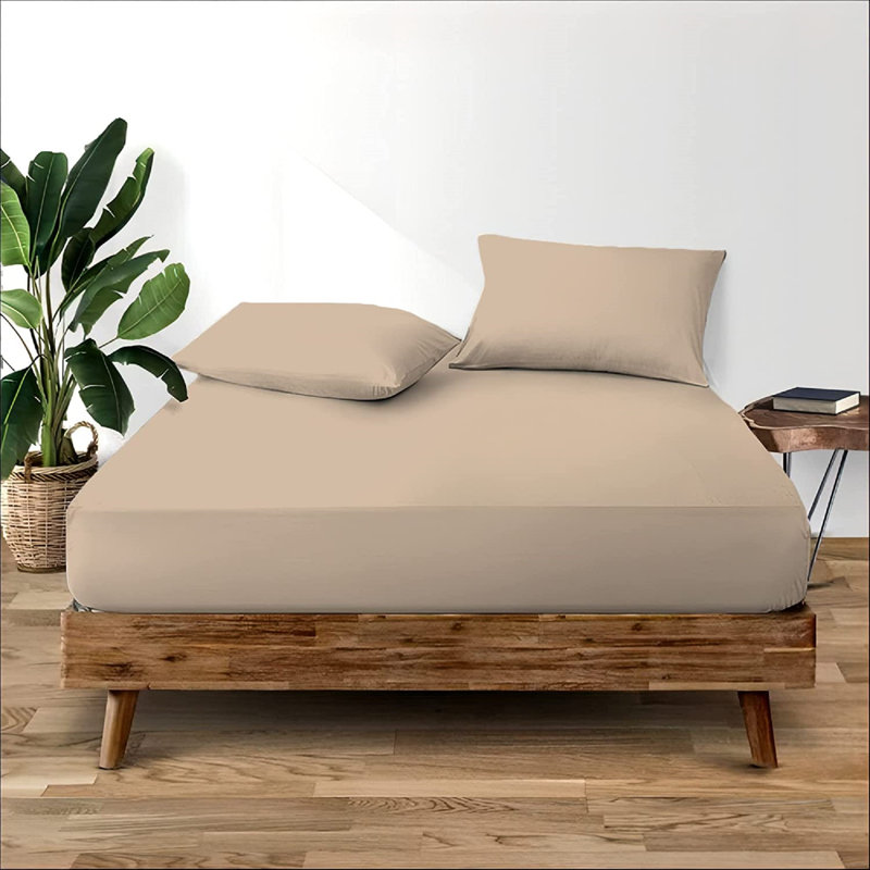 Janoshan Premium Egyptian Cotton Fitted Sheet, Beige, Single (3')