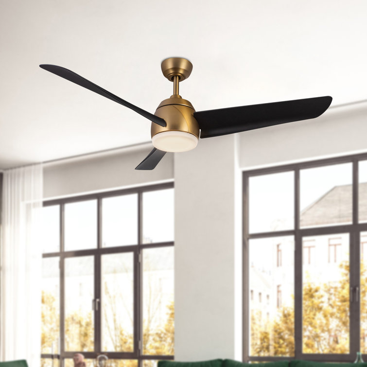 Thalia 54'' Ceiling Fan with LED Lights