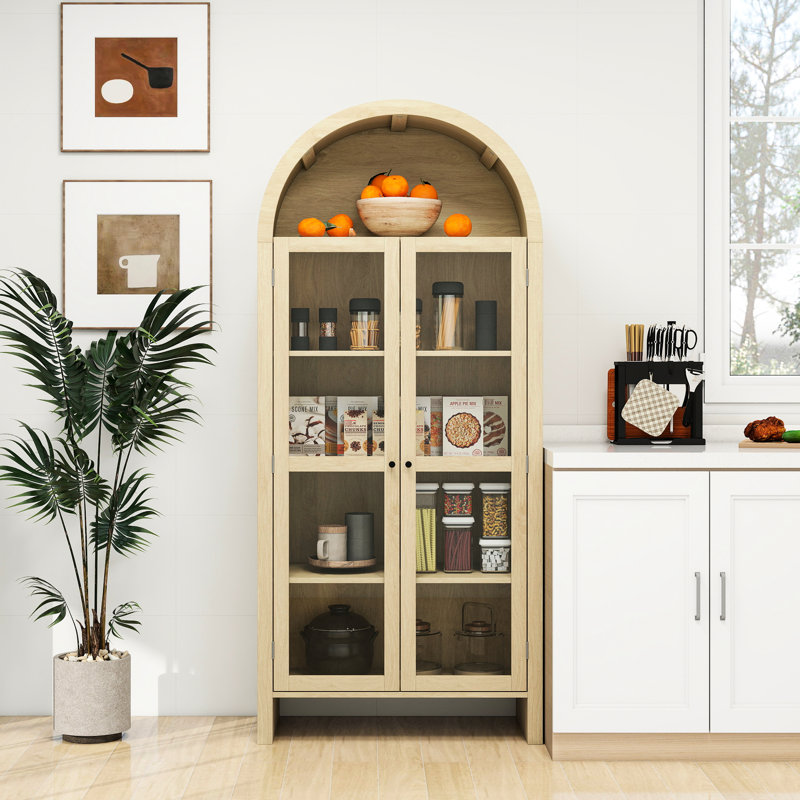 Armoire moderne de 70,76 po de hauteur avec tablettes réglables, porte en acrylique pour un rangement pratique, style élégant