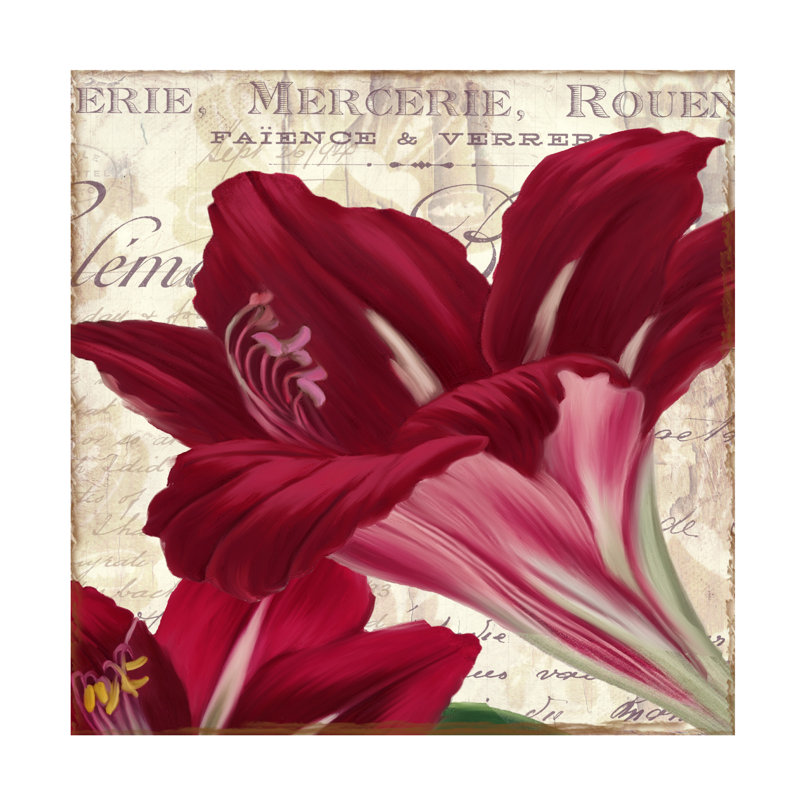 Art sur toile Sasha Amaryllis_ALI73313, H 18 po x l 18 po