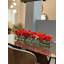 Driftwood Cymbidium Orchids Centerpiece in Glass Planter-1216674882-1216674884