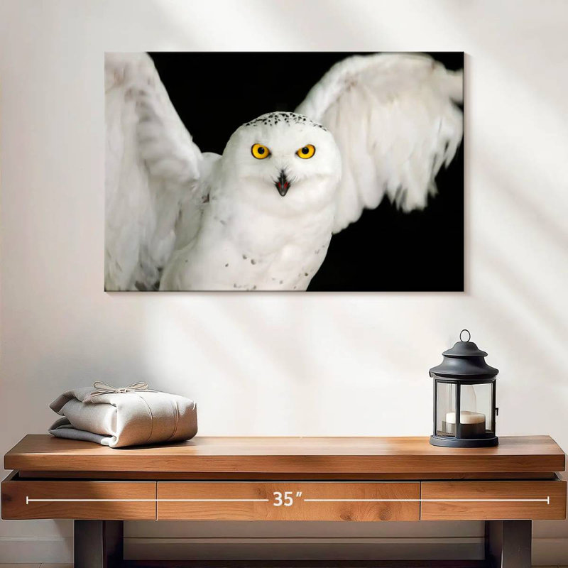 Brampt White Owl, 32" H x 48" W