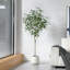 Anasta faux ficus avec pot de fleurs ovale blanc-632575328
