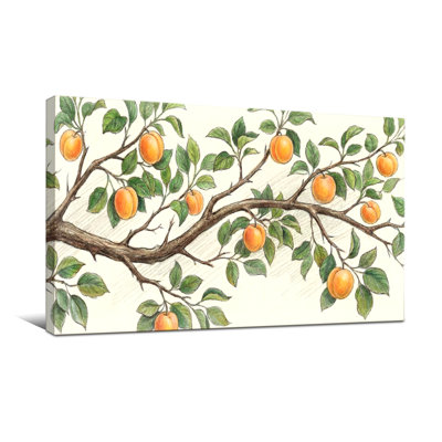 Plantes et fleurs - branche d'oranger avec feuilles et fruits