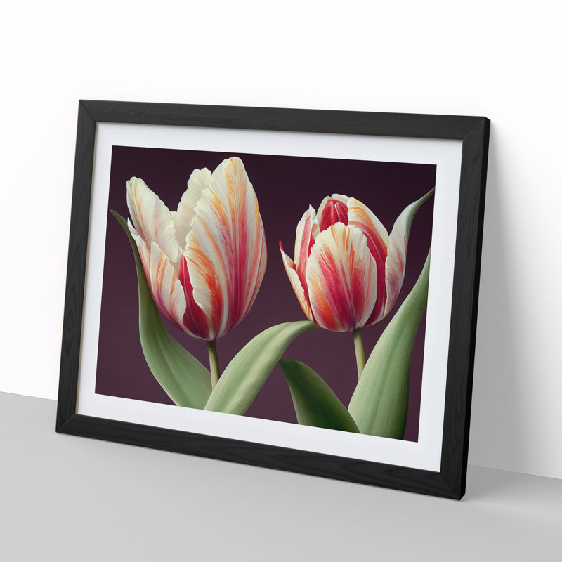 Gentle Tulip Flowers 1 Piece Single Picture Frame Wall Art, 25cm H x 34cm W x 2cm D, Black Framed