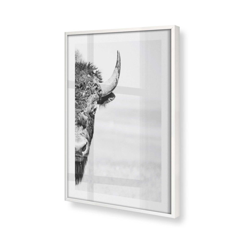 Imprimé Wild Stare, H 21 po x l 17 po x P 1,25 po, Cadre opaque blanc