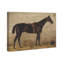 Brauner Im Stall Farm Animals par Emil Volkers - sur toile-61799178-61799179