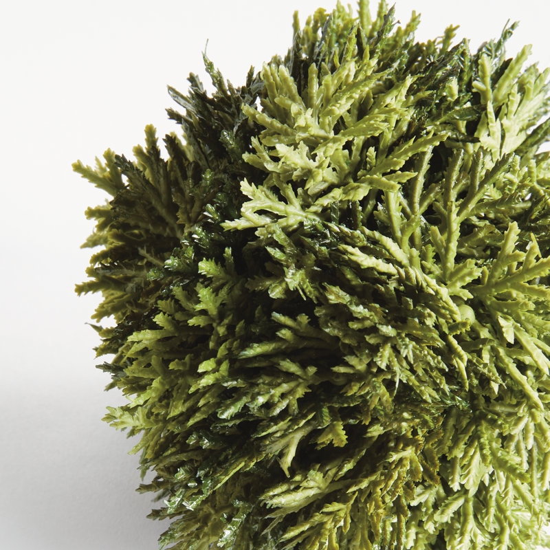 Ornement cyprès 4,5 po