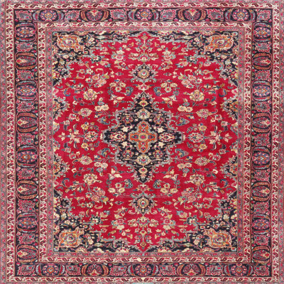 Abelone Oriental Indoor Rug