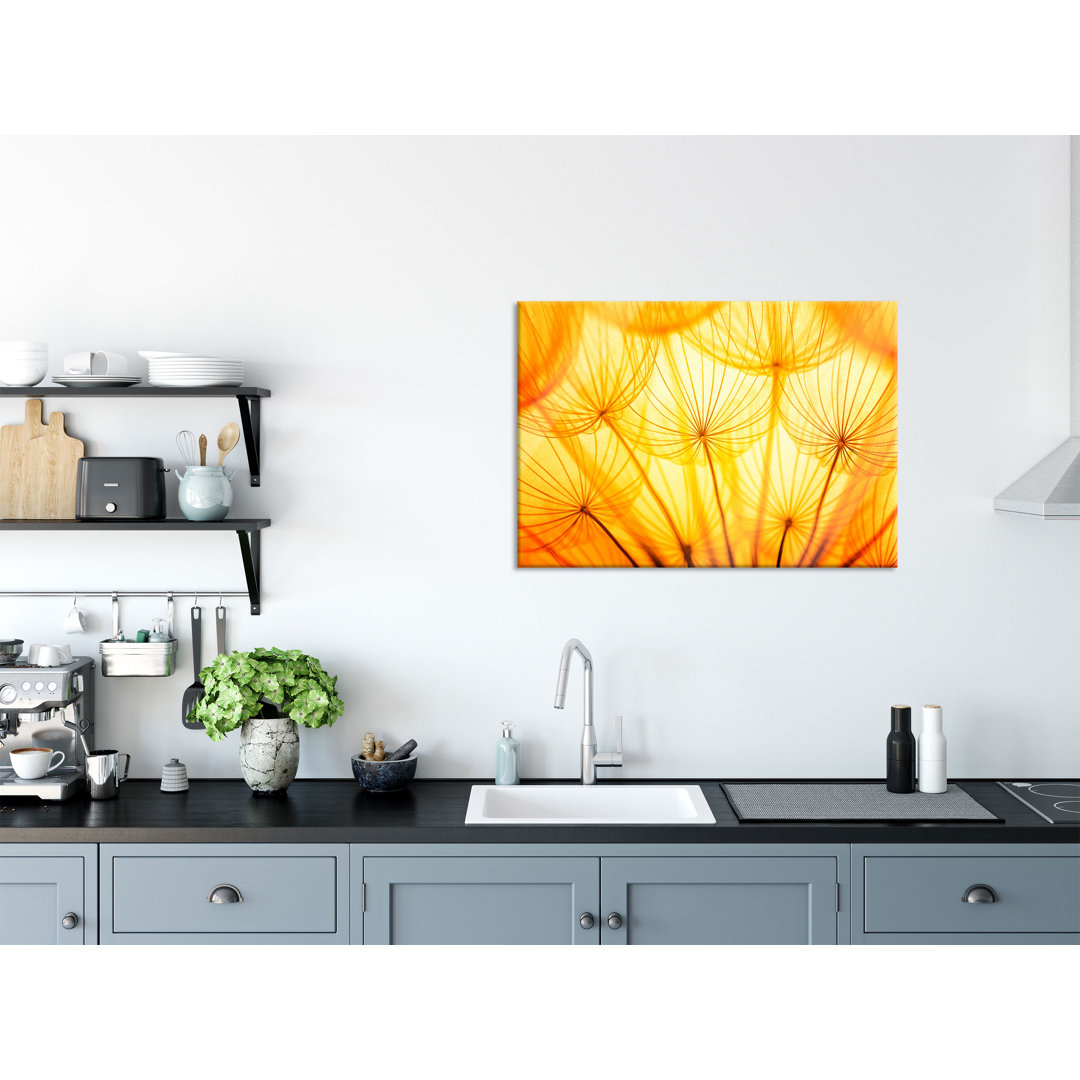 Glasbild Pusteblumen oranges Licht