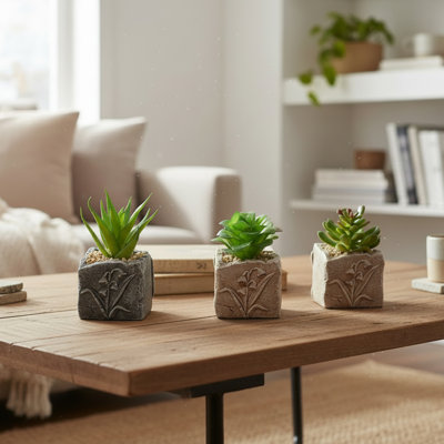 Ensemble de 6 pots en ciment Haight