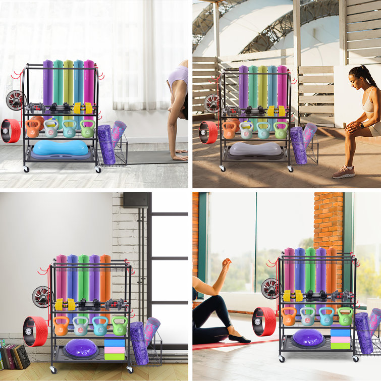 WFX Utility™ Wall Mounted Adjustable Multi-Use Sports Rack | Wayfair